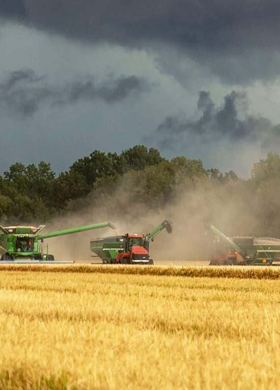 agrisoil agrisoil