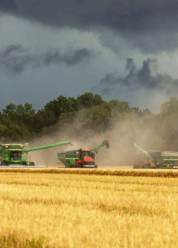 agrisoil