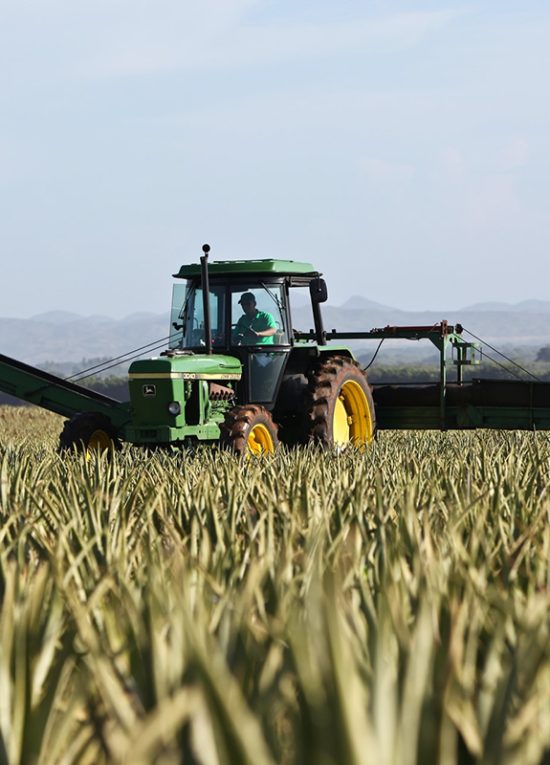 agrisoil agrisoil